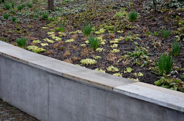 Cost of Concrete Wall Construction in Lincoln