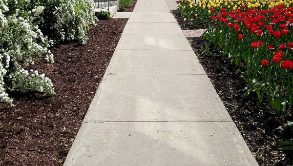 Cost of Sidewalk Slab Replacement in Lincoln